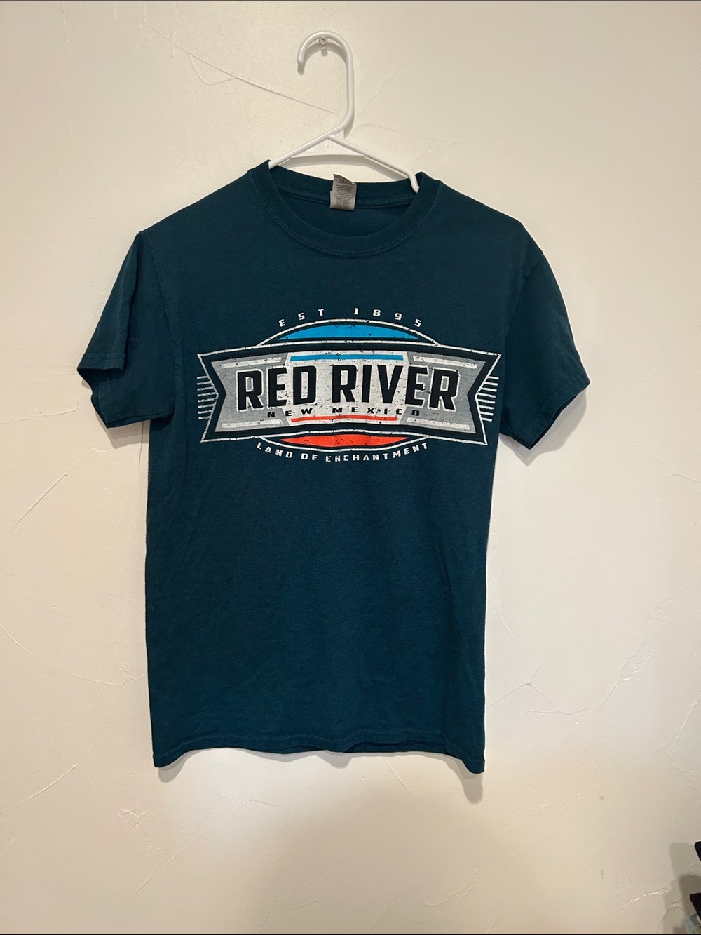 Graphic Tee - Dark Teal